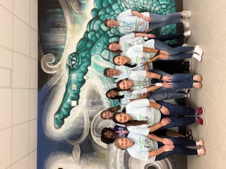 Resource and Inclusion Team